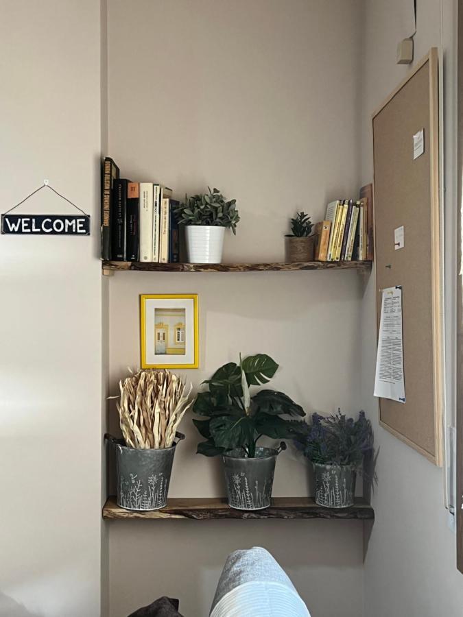 Apartamento Acogedor Pineta บีเอลซา ภายนอก รูปภาพ